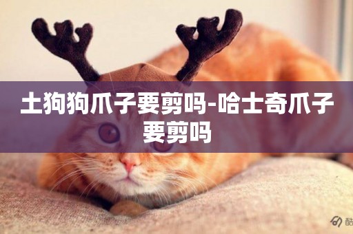 土狗狗爪子要剪嗎-哈士奇爪子要剪嗎