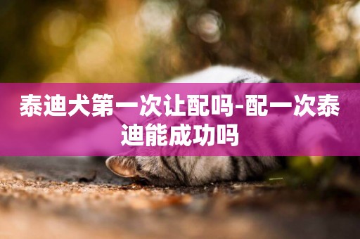 泰迪犬第一次讓配嗎-配一次泰迪能成功嗎