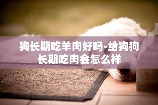 狗長期吃羊肉好嗎-給狗狗長期吃肉會怎么樣