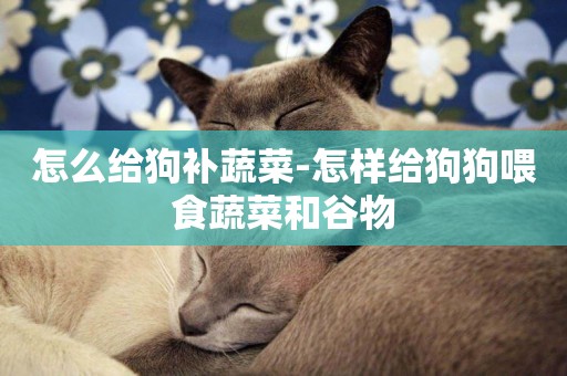 怎么給狗補蔬菜-怎樣給狗狗喂食蔬菜和谷物