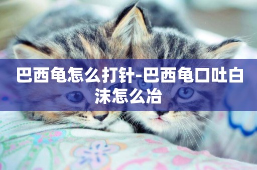 巴西龜怎么打針-巴西龜口吐白沫怎么冶
