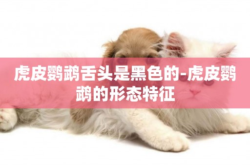 虎皮鸚鵡舌頭是黑色的-虎皮鸚鵡的形態特征