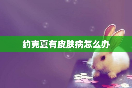 約克夏有皮膚病怎么辦