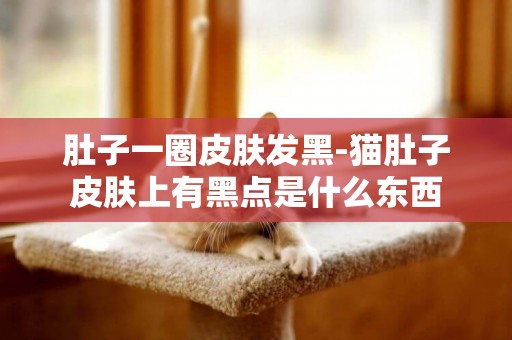 肚子一圈皮膚發黑-貓肚子皮膚上有黑點是什么東西