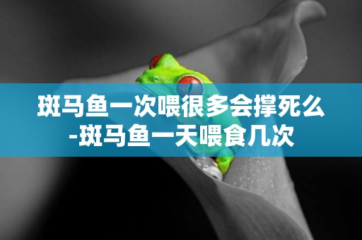 斑馬魚一次喂很多會撐死么-斑馬魚一天喂食幾次