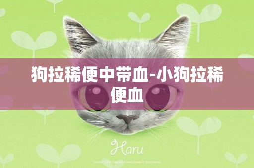 狗拉稀便中帶血-小狗拉稀便血