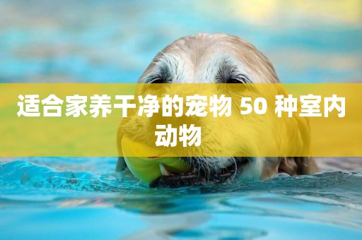 適合家養干凈的寵物 50 種室內動物 