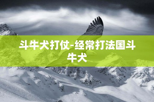 斗牛犬打仗-經常打法國斗牛犬