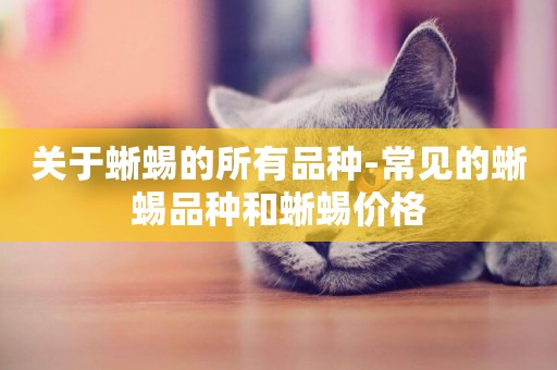 關于蜥蜴的所有品種-常見的蜥蜴品種和蜥蜴價格