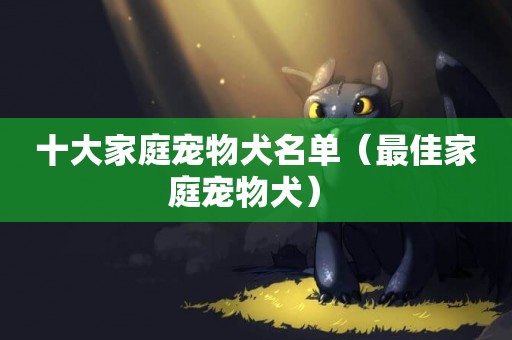 十大家庭寵物犬名單（最佳家庭寵物犬） 