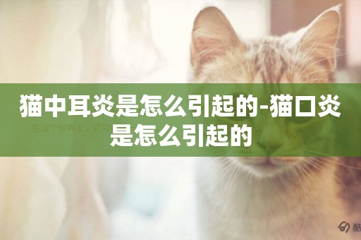貓中耳炎是怎么引起的-貓口炎是怎么引起的