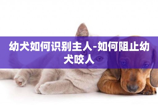 幼犬如何識別主人-如何阻止幼犬咬人