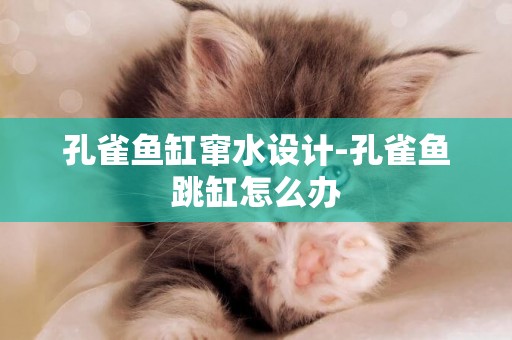 孔雀魚缸竄水設計-孔雀魚跳缸怎么辦
