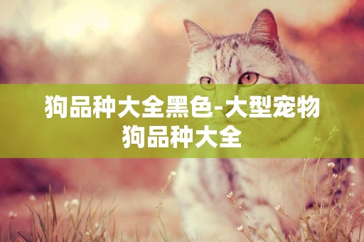 狗品種大全黑色-大型寵物狗品種大全