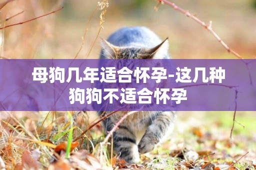 母狗幾年適合懷孕-這幾種狗狗不適合懷孕