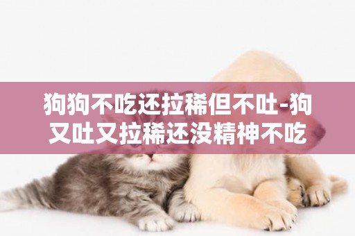 狗狗不吃還拉稀但不吐-狗又吐又拉稀還沒精神不吃