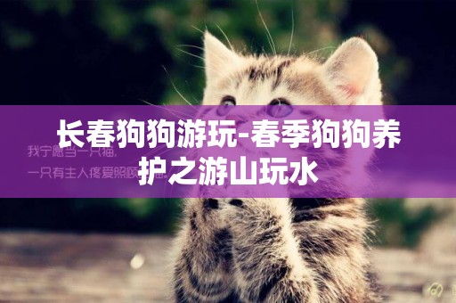 長春狗狗游玩-春季狗狗養護之游山玩水