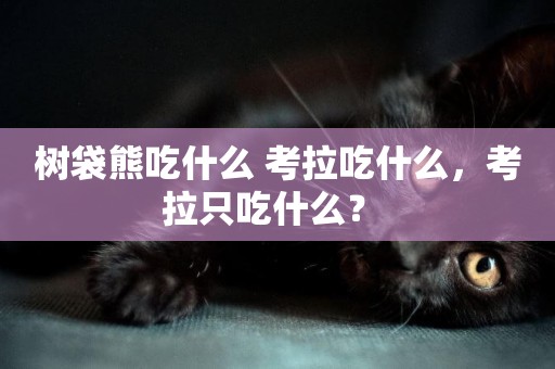 樹袋熊吃什么 考拉吃什么，考拉只吃什么？ 