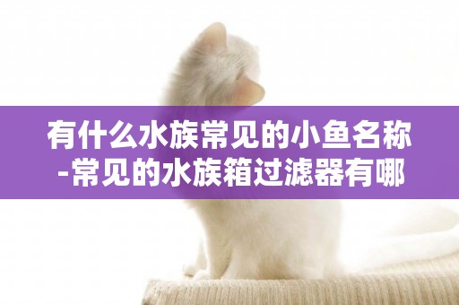有什么水族常見的小魚名稱-常見的水族箱過濾器有哪些