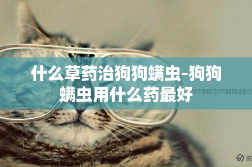 什么草藥治狗狗螨蟲-狗狗螨蟲用什么藥最好