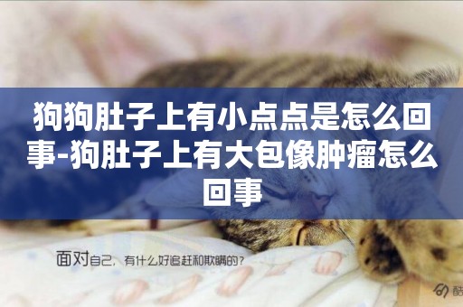 狗狗肚子上有小點點是怎么回事-狗肚子上有大包像腫瘤怎么回事