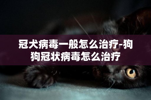 冠犬病毒一般怎么治療-狗狗冠狀病毒怎么治療