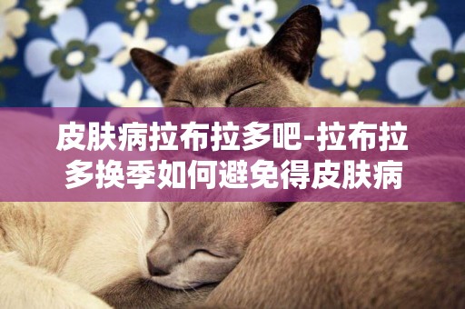 皮膚病拉布拉多吧-拉布拉多換季如何避免得皮膚病