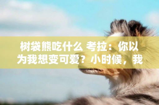 樹袋熊吃什么 考拉：你以為我想變可愛？小時候，我是吃屎長大的，中毒了，差點沒活下來。 
