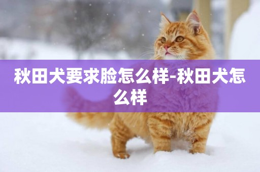 秋田犬要求臉怎么樣-秋田犬怎么樣