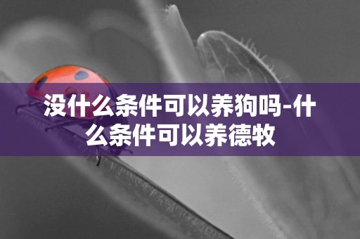 沒什么條件可以養狗嗎-什么條件可以養德牧