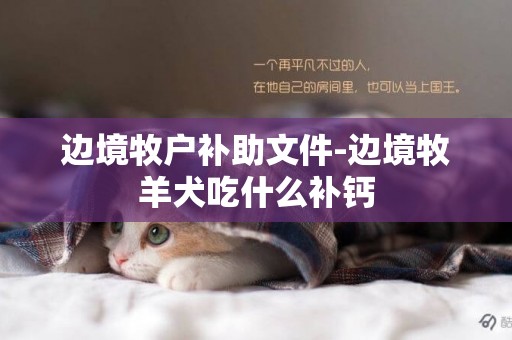 邊境牧戶補助文件-邊境牧羊犬吃什么補鈣