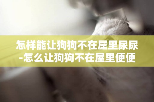 怎樣能讓狗狗不在屋里尿尿-怎么讓狗狗不在屋里便便