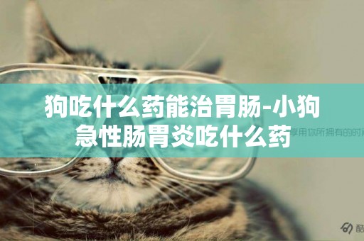 狗吃什么藥能治胃腸-小狗急性腸胃炎吃什么藥