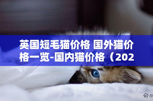 英國短毛貓價格 國外貓價格一覽-國內貓價格（2022更新） 