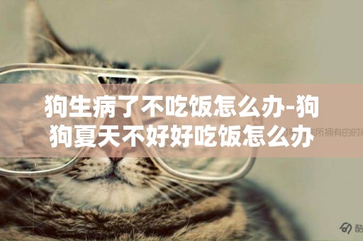 狗生病了不吃飯怎么辦-狗狗夏天不好好吃飯怎么辦