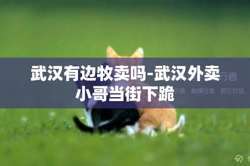 武漢有邊牧賣嗎-武漢外賣小哥當街下跪