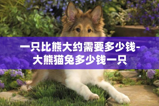 一只比熊大約需要多少錢-大熊貓兔多少錢一只