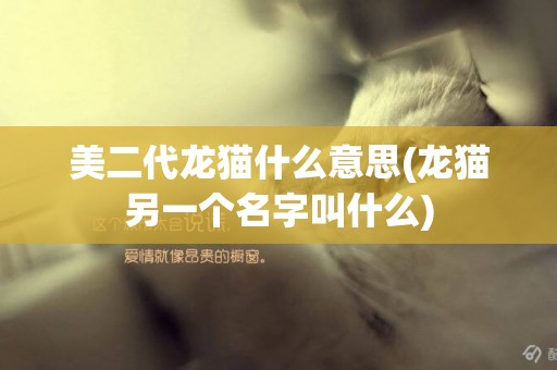 美二代龍貓什么意思(龍貓另一個名字叫什么)