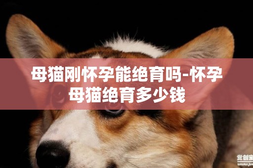 母貓剛懷孕能絕育嗎-懷孕母貓絕育多少錢