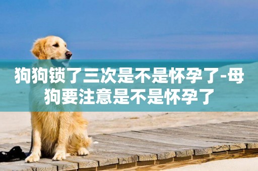 狗狗鎖了三次是不是懷孕了-母狗要注意是不是懷孕了