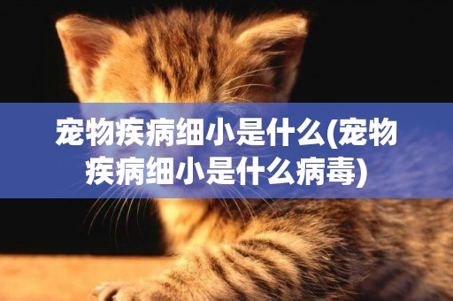 寵物疾病細小是什么(寵物疾病細小是什么病毒)