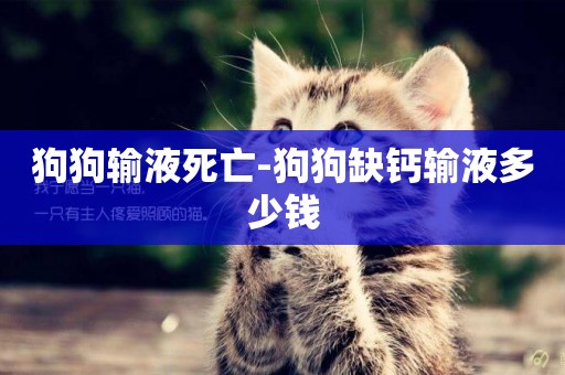 狗狗輸液死亡-狗狗缺鈣輸液多少錢