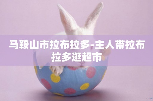 馬鞍山市拉布拉多-主人帶拉布拉多逛超市