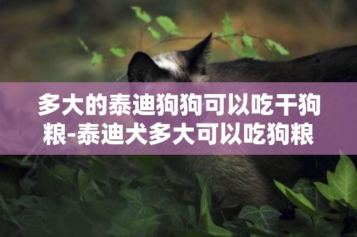 多大的泰迪狗狗可以吃干狗糧-泰迪犬多大可以吃狗糧