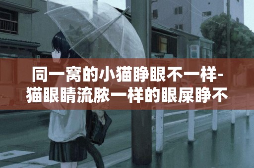 同一窩的小貓睜眼不一樣-貓眼睛流膿一樣的眼屎睜不開