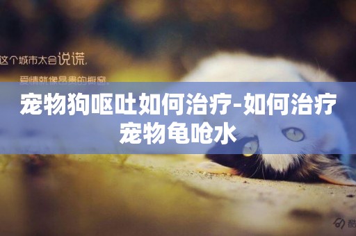 寵物狗嘔吐如何治療-如何治療寵物龜嗆水