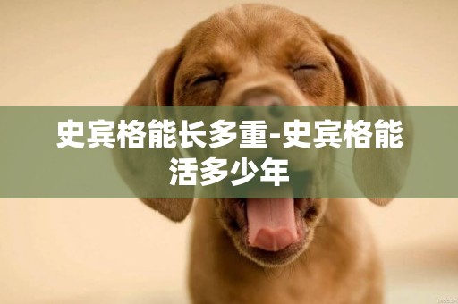 史賓格能長多重-史賓格能活多少年