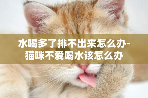 水喝多了排不出來怎么辦-貓咪不愛喝水該怎么辦
