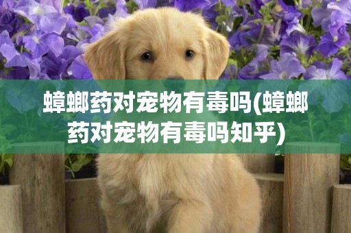蟑螂藥對寵物有毒嗎(蟑螂藥對寵物有毒嗎知乎)