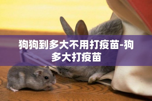 狗狗到多大不用打疫苗-狗多大打疫苗